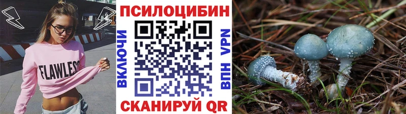 как найти закладки  Горнозаводск  Псилоцибиновые грибы прущие грибы 